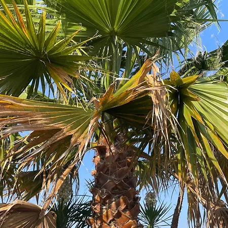 Benoit アパート *